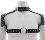 harnais et collier optor noir