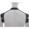 harnais et collier optor noir 2