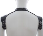 harnais et collier optor noir 2