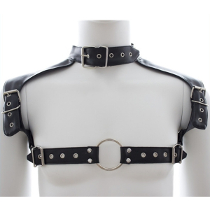 harnais et collier optor noir