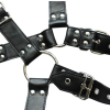 harnais et collier optor noir 4