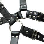 harnais et collier optor noir 4