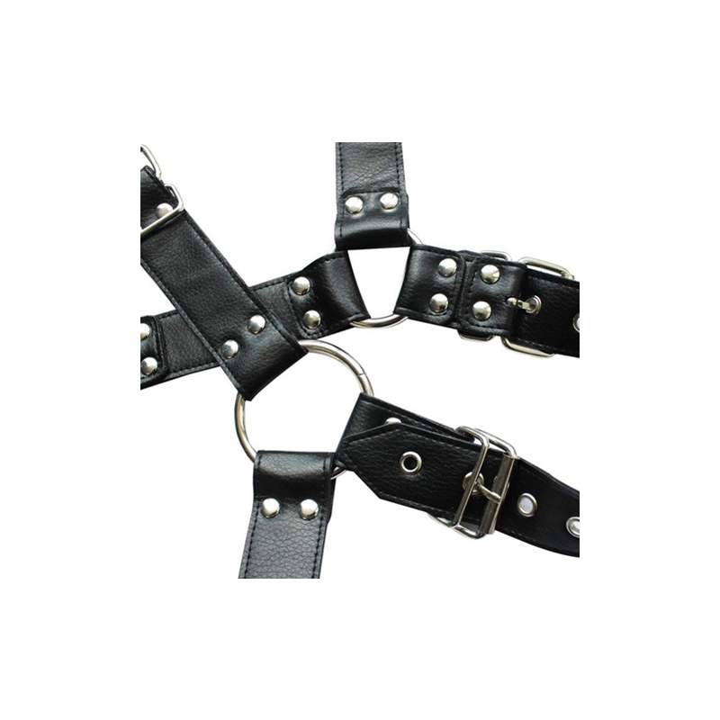 harnais et collier optor noir 4