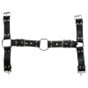 harnais et collier optor noir 6