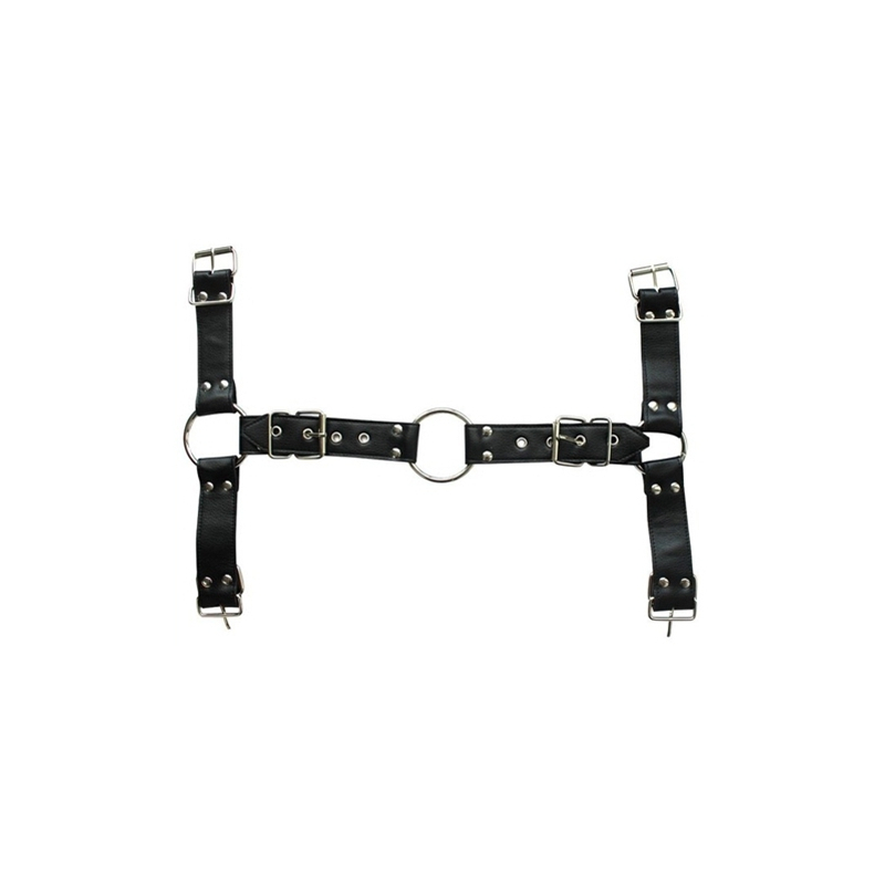 harnais et collier optor noir 6
