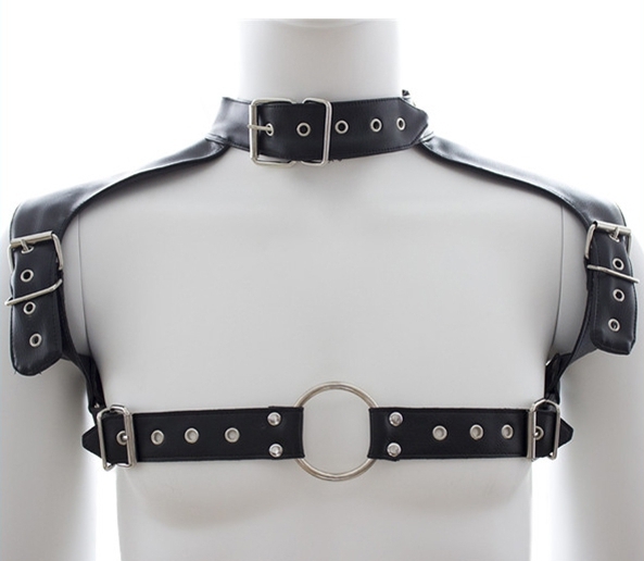 harnais et collier optor noir