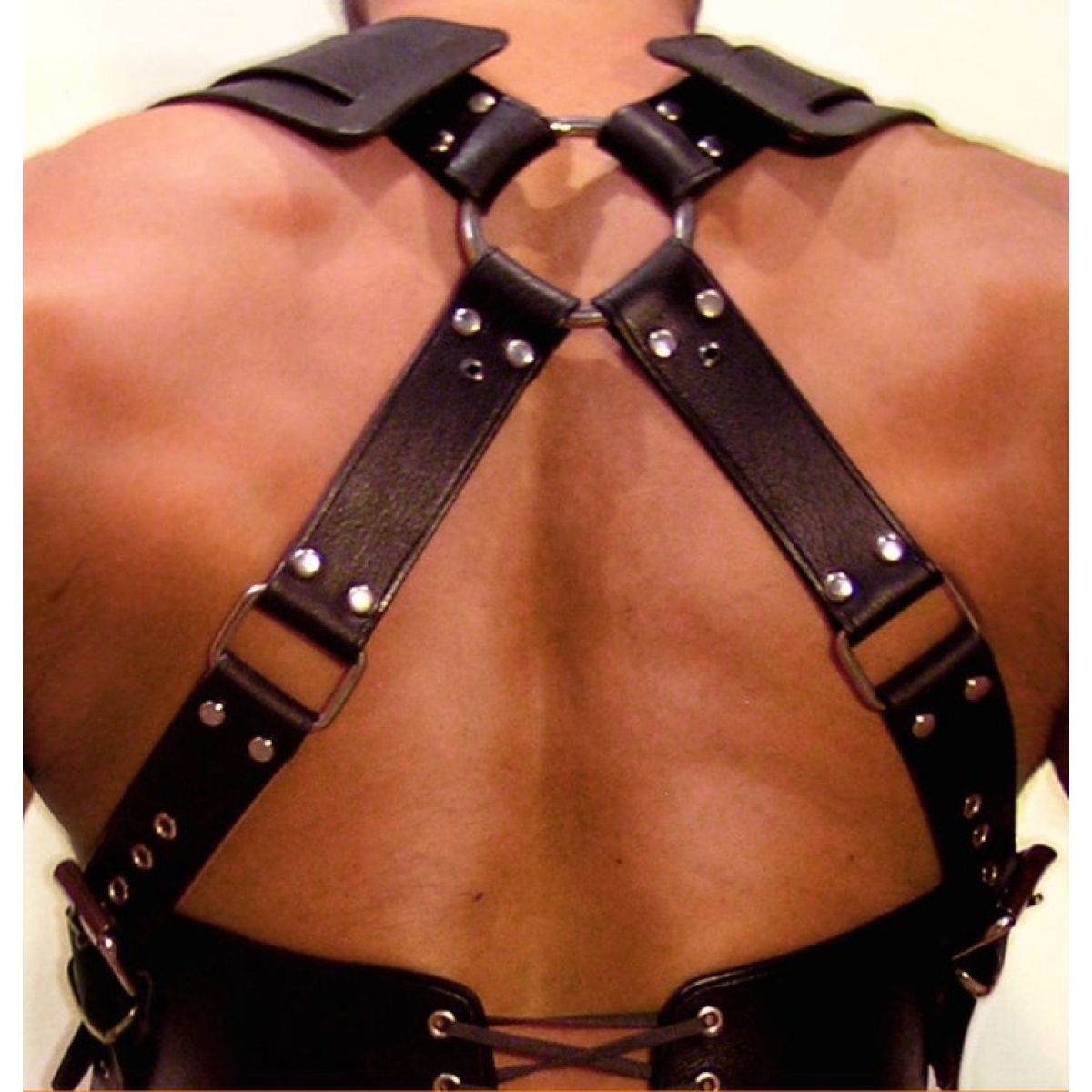 harnais gladiator should noir 4