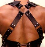 harnais gladiator should noir 4
