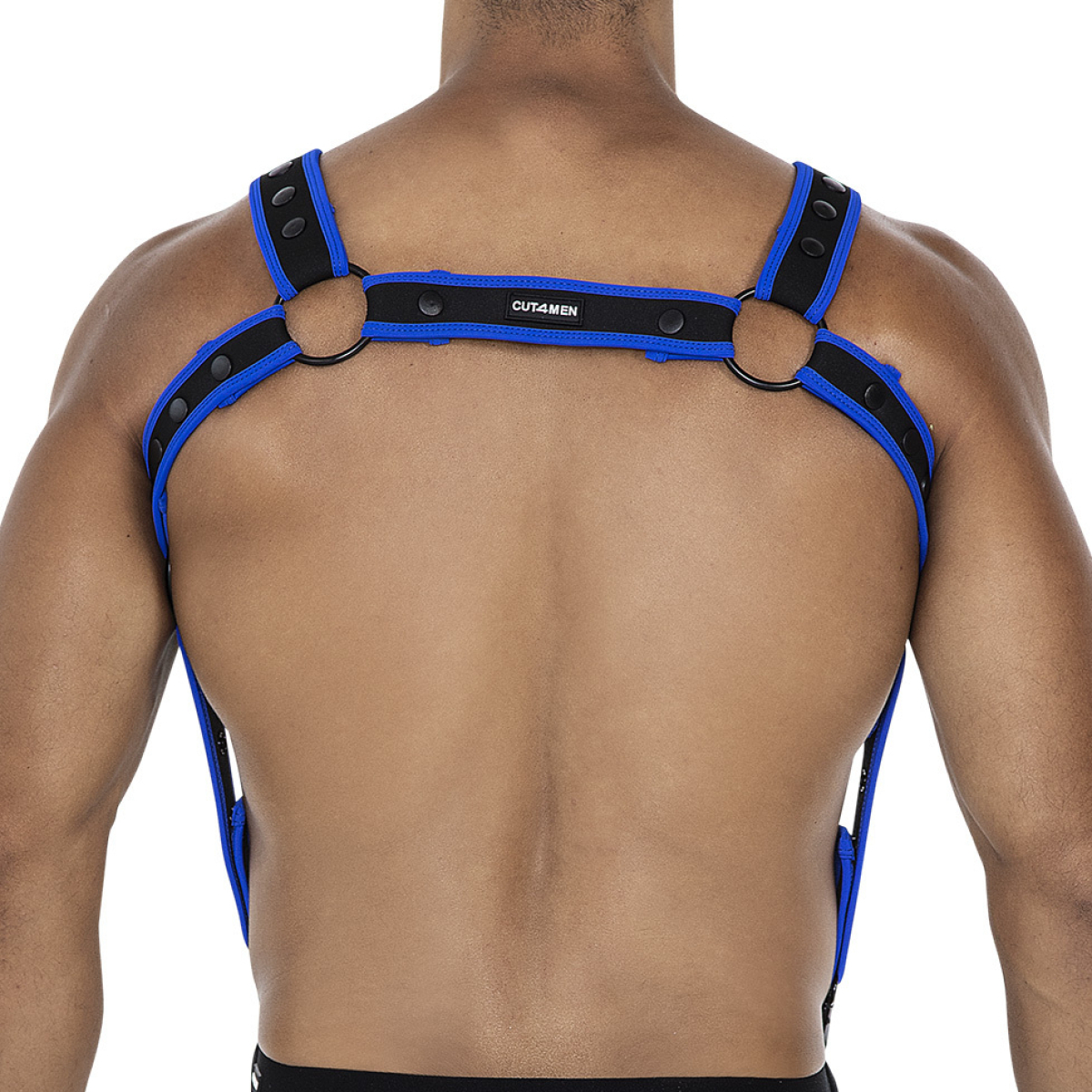 harnais neo noir bleu 1