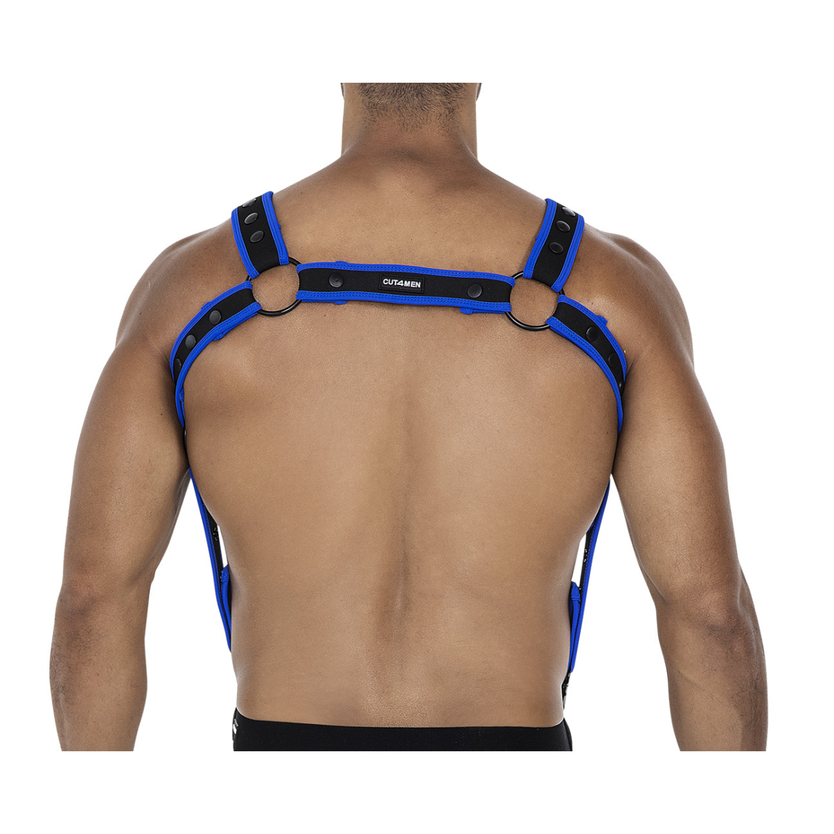 harnais neo noir bleu 4