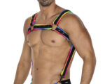 harnais neo noir rainbow