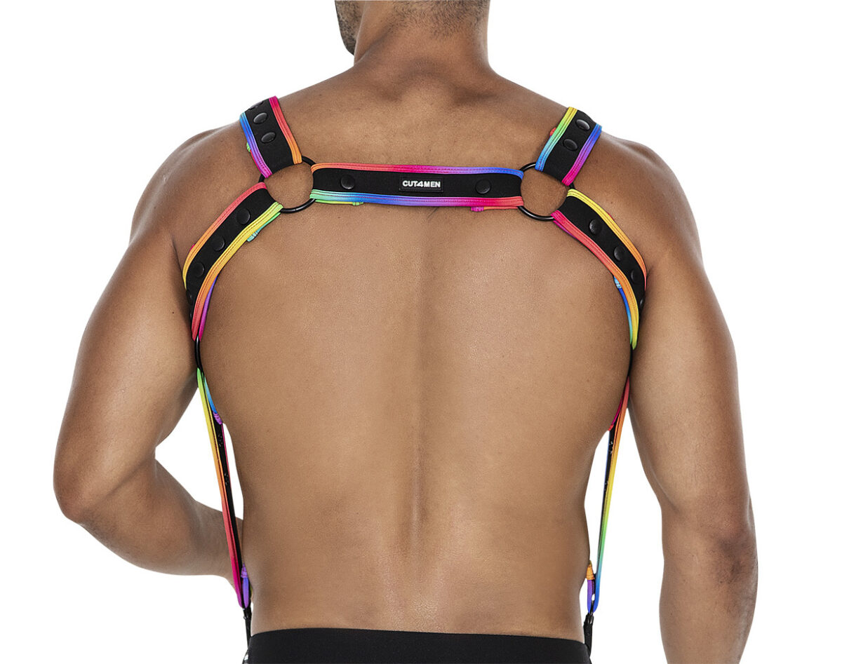 harnais neo noir rainbow 3