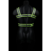 harnais phosphorescent glow body noir 4