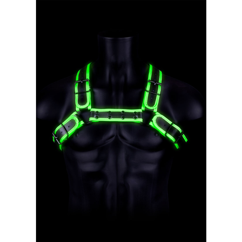 harnais phosphorescent glow buckle noir 3