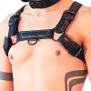 harnais puppy harness noir