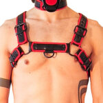 harnais puppy harness noir rouge