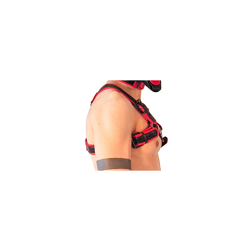 harnais puppy harness noir rouge 3