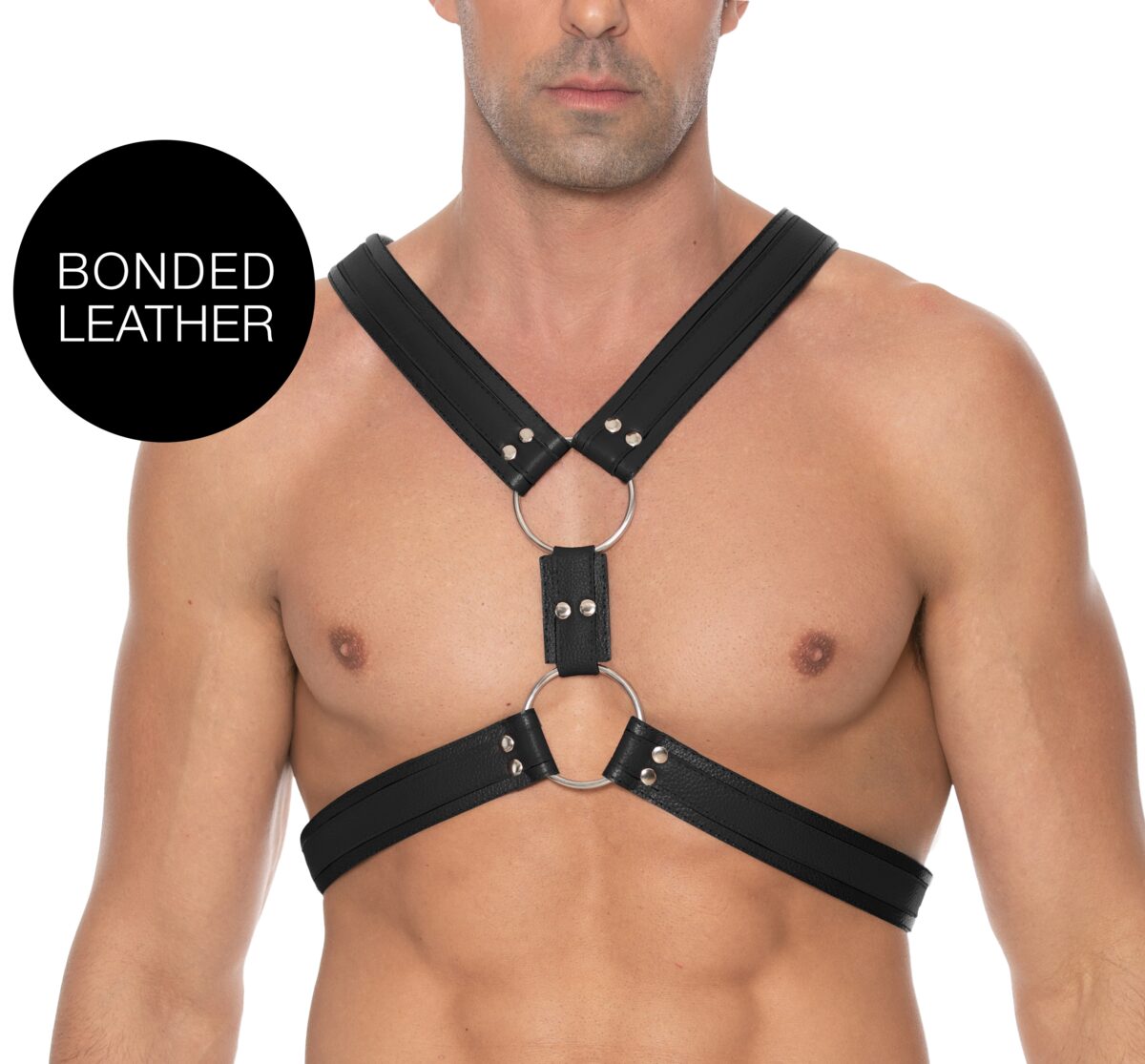 harnais scottish noir scaled