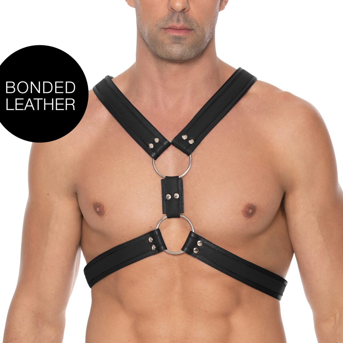 harnais scottish noir scaled