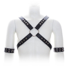 harnais sm cross male chest