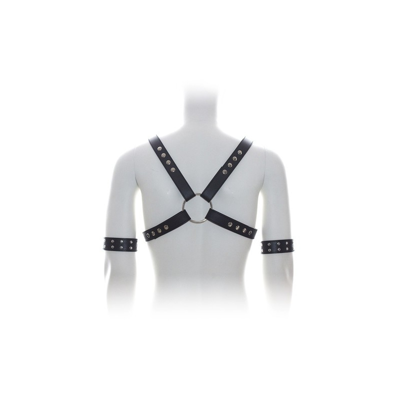 harnais sm cross male chest 2