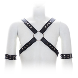 harnais sm cross male chest