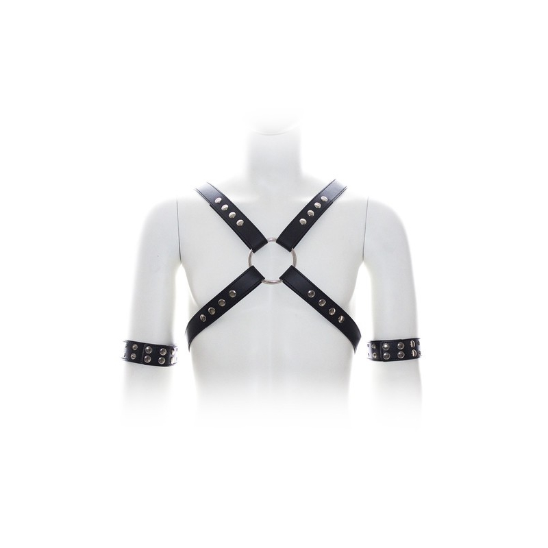 harnais sm cross male chest