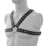 harnais sm stud chest 3