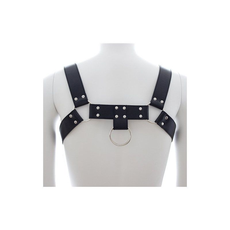 harnais sm upper body chest 1
