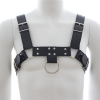 harnais sm upper body chest
