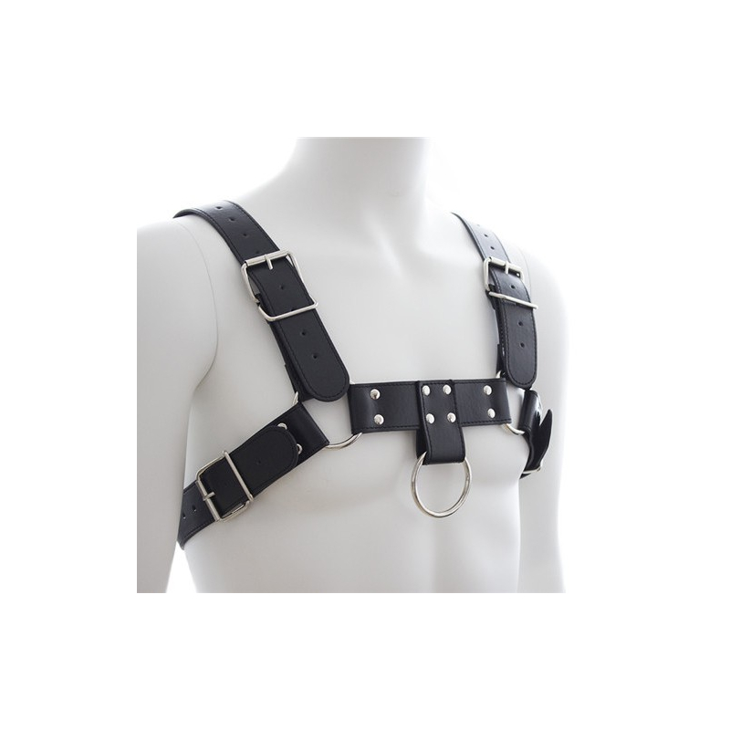 harnais sm upper body chest 2