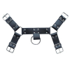harnais sm upper body chest 4