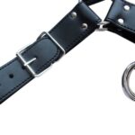 harnais sm upper body chest 5