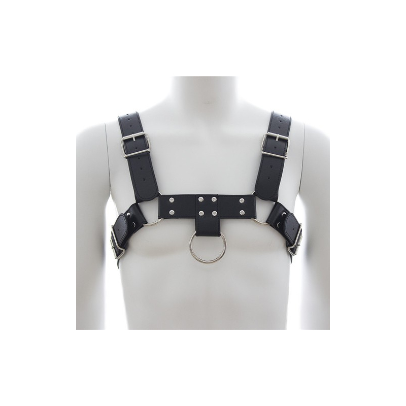 harnais sm upper body chest