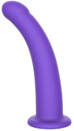 harness dong m purple 2