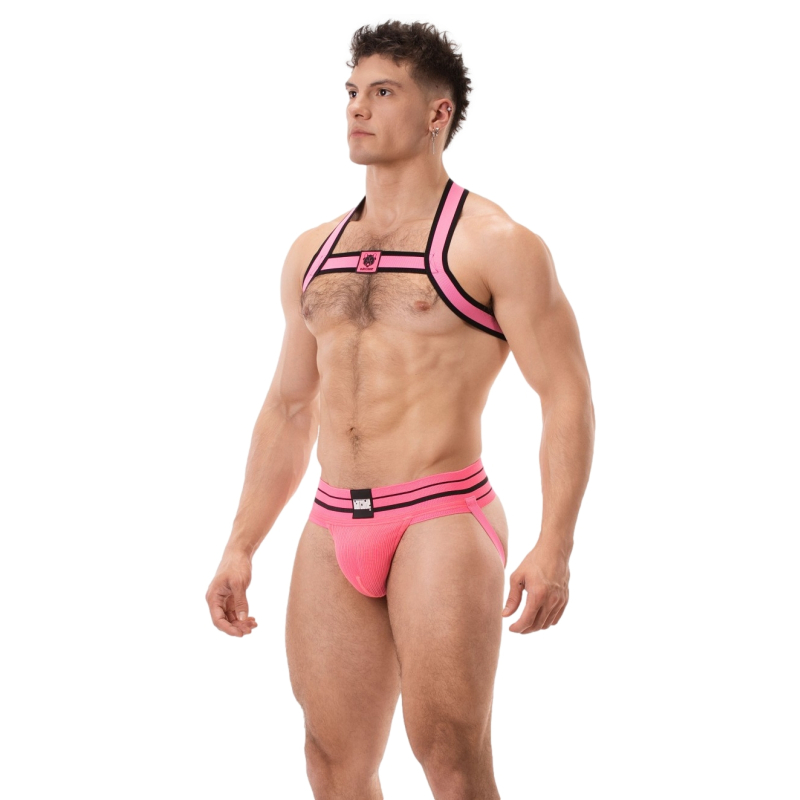 jockstrap andreus rose 2