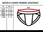 jockstrap en cuir mister b noir 5