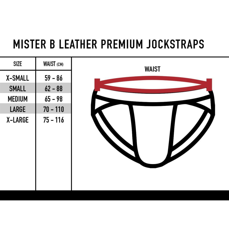 jockstrap en cuir mister b noir 5
