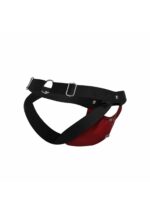 jockstrap peekaboo dngeon rouge 7