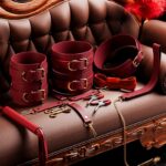 kit bdsm 11 pieces clarissa 4