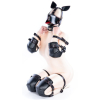 kit complet puppy bondage 14 pieces noir rouge 2