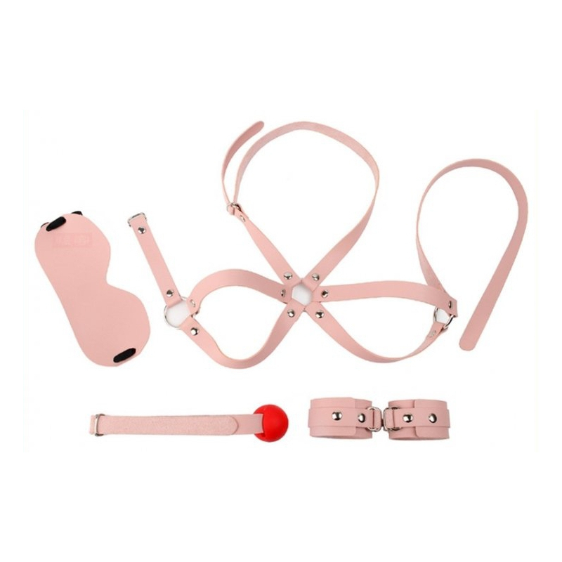 kit d initiation bdsm obedience 4 pieces rose