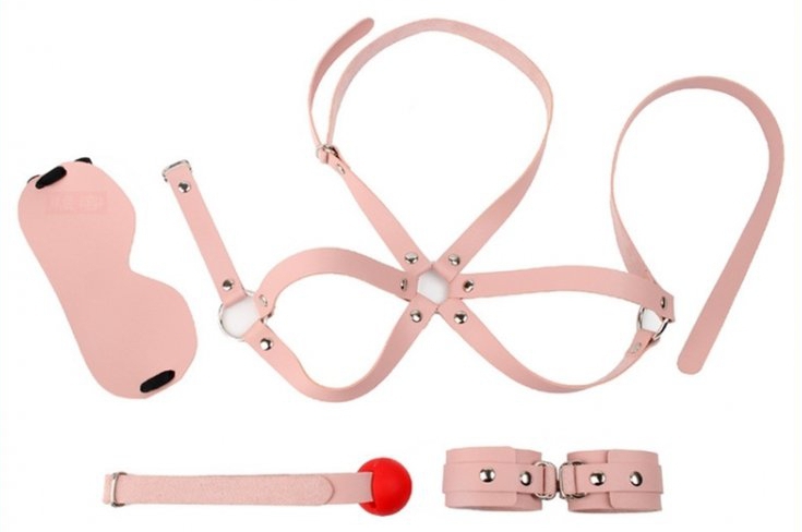 kit d initiation bdsm obedience 4 pieces rose