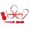 kit d initiation bdsm obedience 4 pieces rouge