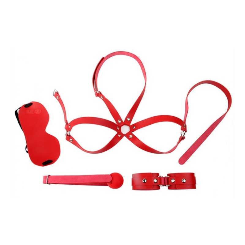 kit d initiation bdsm obedience 4 pieces rouge