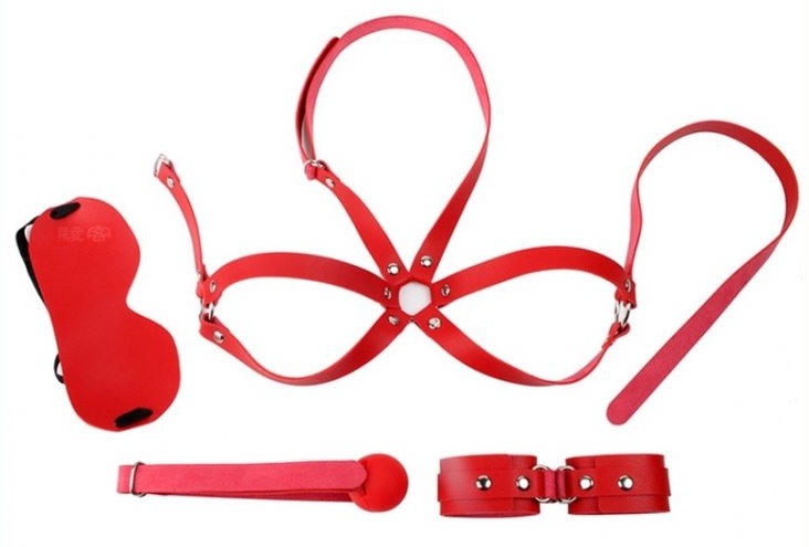 kit d initiation bdsm obedience 4 pieces rouge