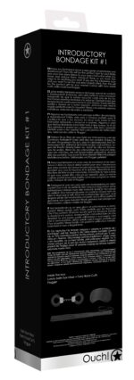 kit d introduction au sm n1 1 scaled