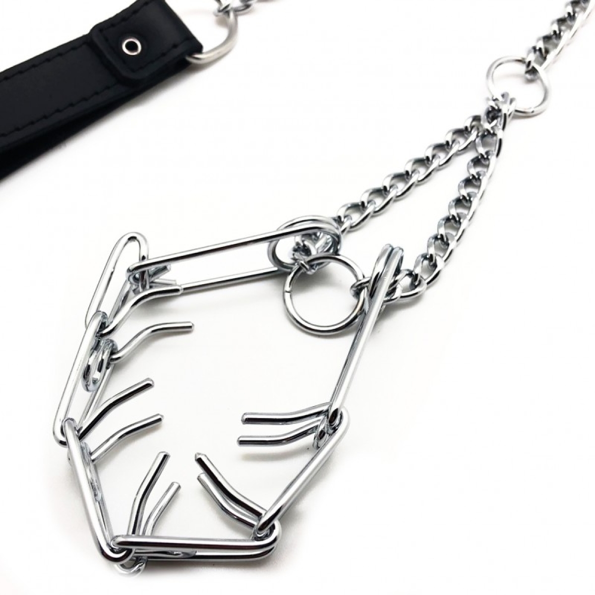 laisse avec collier a points pour penis 4