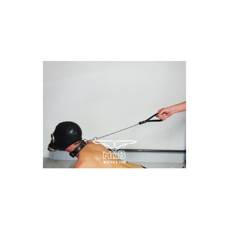 laisse dog avec chaine de 45cm 2