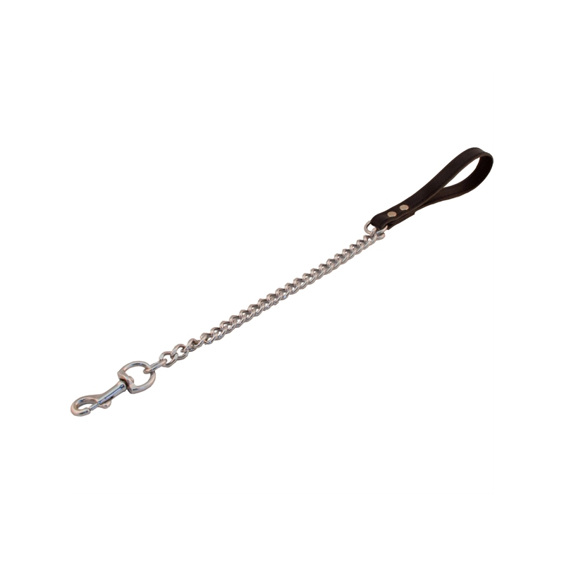 laisse dog avec chaine de 45cm